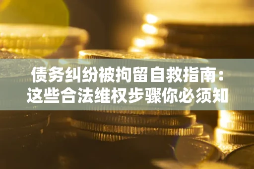 北京债务纠纷被拘留自救指南：这些合法维权步骤你必须知道！