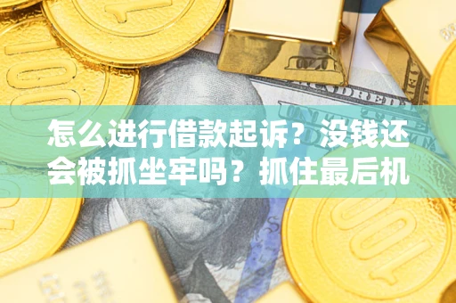 北京怎么进行借款起诉？没钱还会被抓坐牢吗？抓住最后机会！
