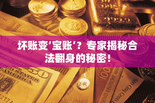 北京坏账变‘宝账’？专家揭秘合法翻身的秘密！
