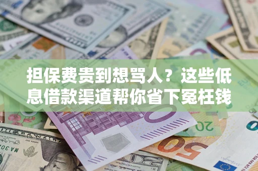 北京担保费贵到想骂人？这些低息借款渠道帮你省下冤枉钱