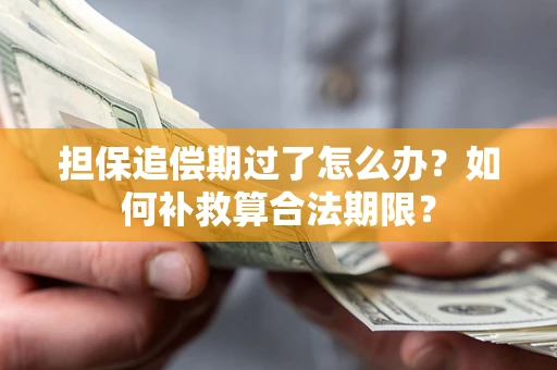 北京担保追偿期过了怎么办？如何补救算合法期限？
