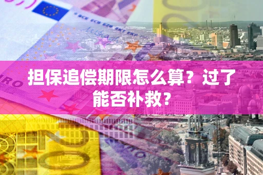 北京担保追偿期限怎么算？过了能否补救？